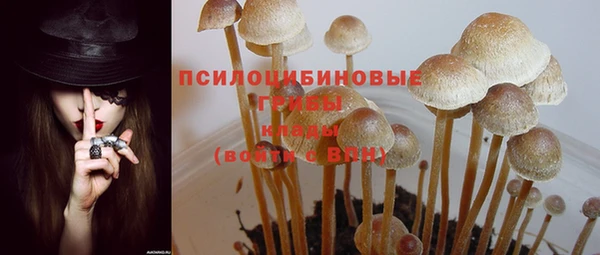 MDMA Premium VHQ Михайловка