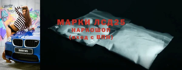 сатива Надым