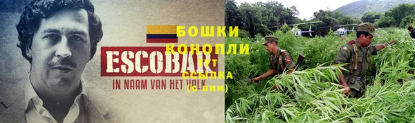 стафф Нефтекумск
