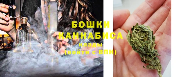 сатива Надым