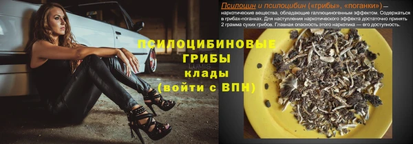 сатива Надым