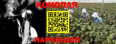 герыч Гатчина
