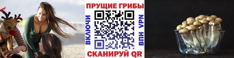 Галлюциногенные грибы мицелий Нарьян-Мар