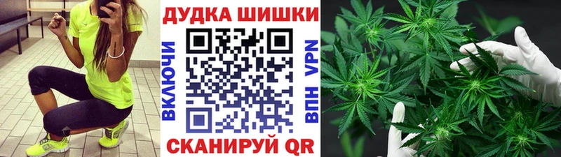 Бошки Шишки планчик Нарьян-Мар